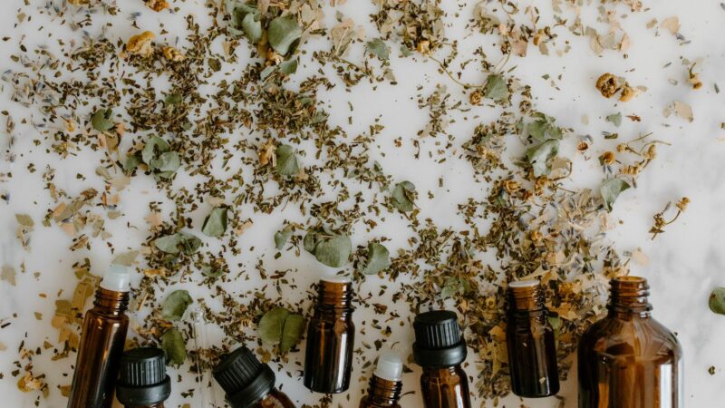 classic herbalism guide